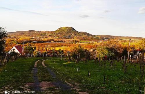 Kisapati Casa | Ágnes almái Ágnes apples
