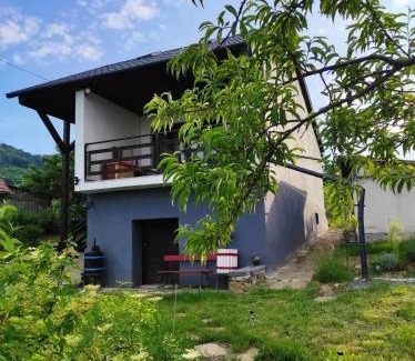 Kisapati Casa | Ágnes almái Ágnes apples