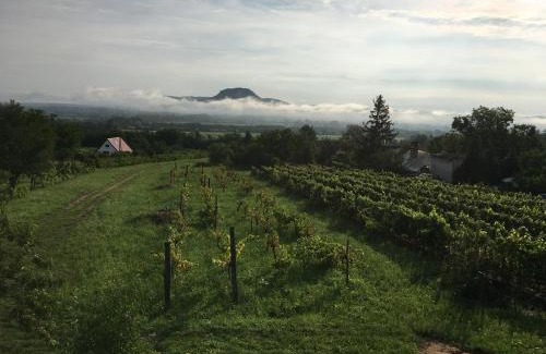 Kisapati Casa | Ágnes almái Ágnes apples