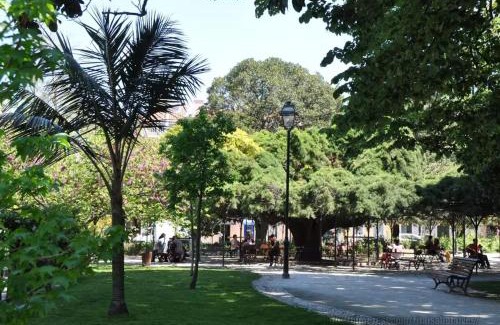 Encarnacao Apartamento | Água-da-Flor apartments