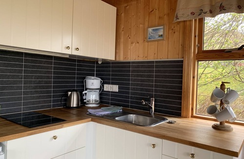 Storidalur Cabina | Ásólfsskáli Cottage