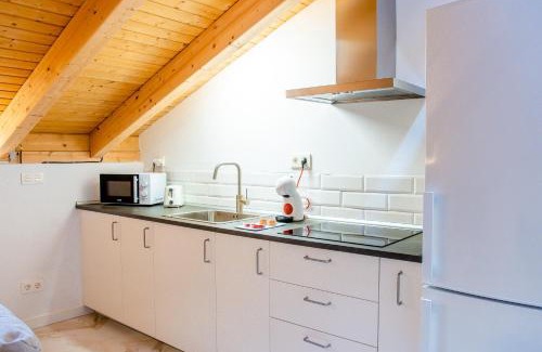 Burgos Apartamento | Ático Santa Clara