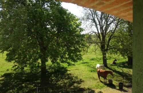 Villemur-sur-Tarn Apartamento | écrin de nature