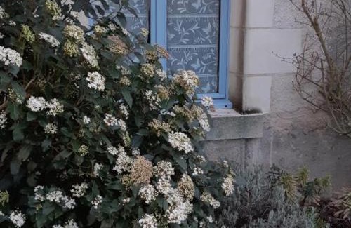 Luzille Casa | Évasion à Luzillé : Havre de Paix avec Jardin Privatif, proche Chenonceau et Beauval - FR-1-381-303