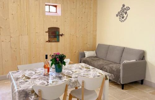 Selles-sur-Cher Casa | Évasion moderne et cosy avec jardin clos près des châteaux et du ZooParc de Beauval - FR-1-491-359