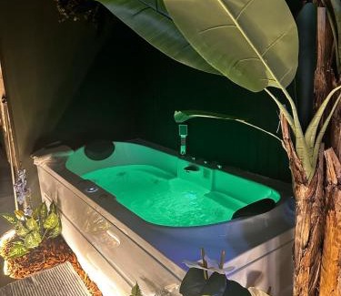 Centre Ville Apartamento | Évasion tropicale à deux pas du centre Appartement Jungle