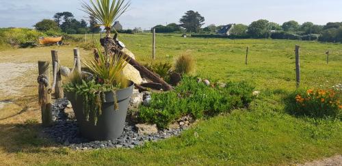 Roscanvel Cama Y Desayuno | Île ô des capucins
