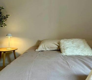 Toulouse City-Centre Apartamento | Ô Berges Garonne
