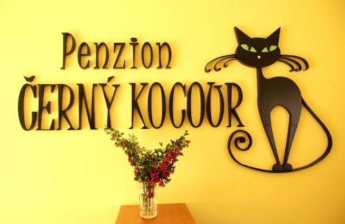 Sarovy Apartamento | Černý Kocour Apart hotel