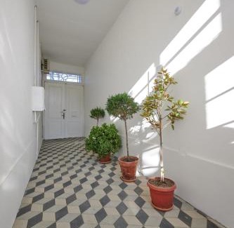 Kikinda Casa | Čudesni drvored
