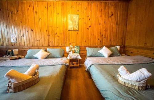 Da Lat Apartamento | Đà Lạt 2019 homestay