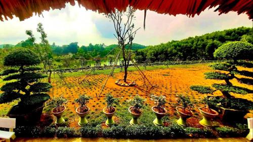 Ngoi Tu Cama Y Desayuno | Đao Hoa resort