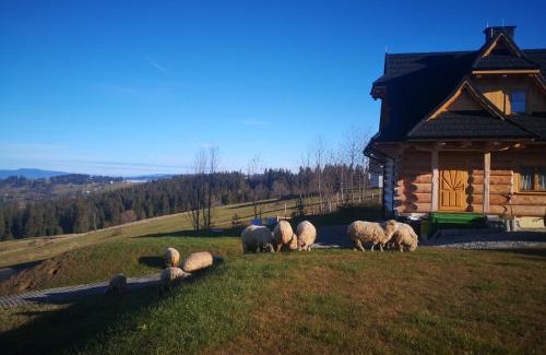 Gliczarow Gorny Chalet De Esquí | Łosiowa Chata Leśnica Gliczarów Górny