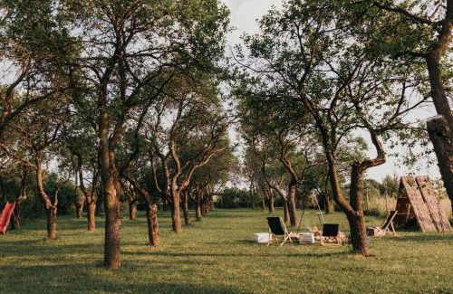 Niegowa Casa | Śliwkowy Sad-Plum Orchard-Jura