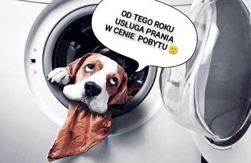 Nowa Słupia Casa | Świętokrzyska Chata Biegacza - dom przy szlaku