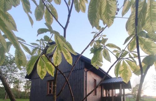 gmina Pawłow Casa | Świętokrzyskie Stodoła Kasztanowa Aleja Radkowice
