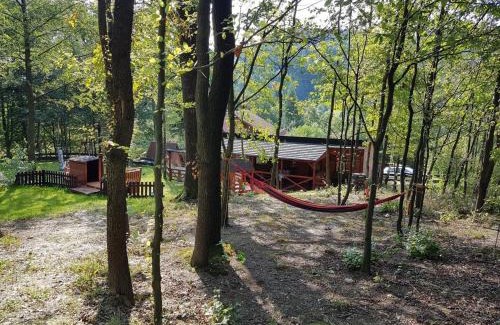 Mucharz Casa | ŚWINNA PORĘBA
