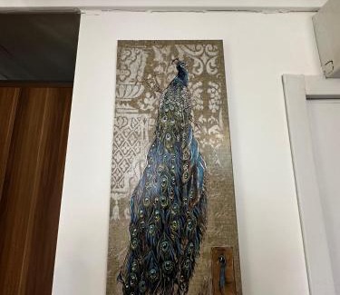 Cihangir Apartamento | Şah Bey Konağı