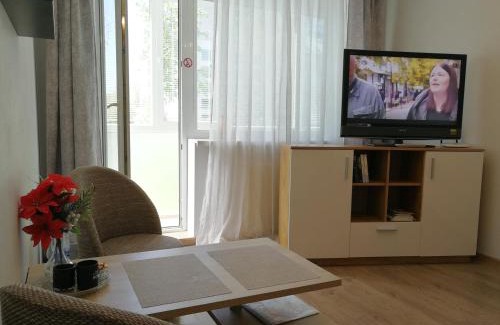 Siauliai City Center Apartamento | Šiauliai City Apartment