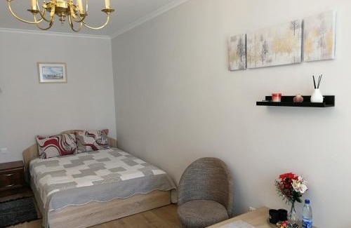 Siauliai City Center Apartamento | Šiauliai City Apartment