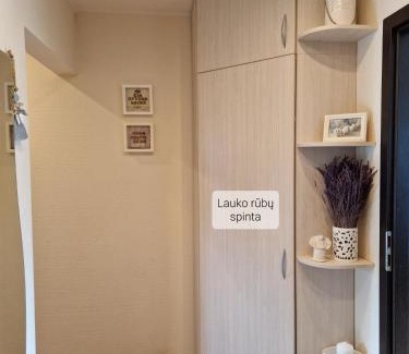 Kaunas Apartamento | Šiaurė