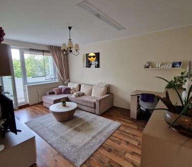 Kaunas Apartamento | Šiaurė