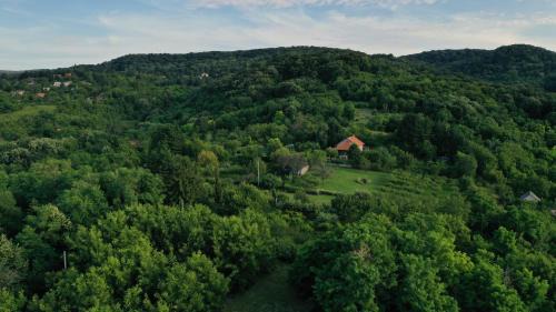 Petrovaradin Casa | Šumska 1 - Fruška gora