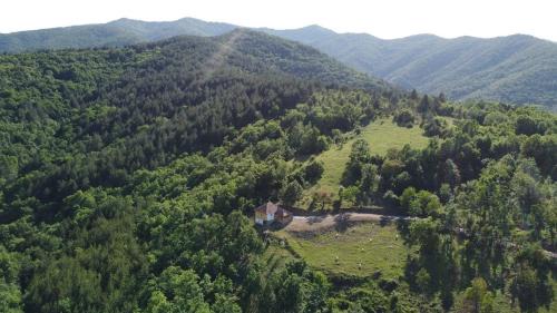 Bogutovac Casa | Šumska kuća Ilija