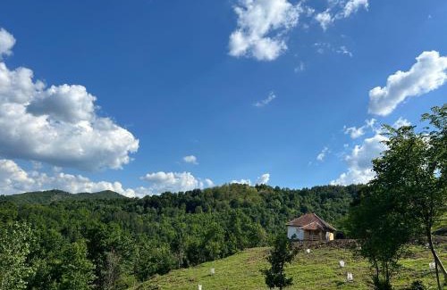 Bogutovac Casa | Šumska kuća Ilija