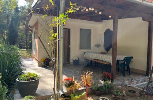 Banatski Karlovac Casa | Šumska kuća Juga Kovačević