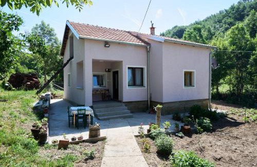 Central Serbia Apartamento | Šumska tajna - Radenkovac