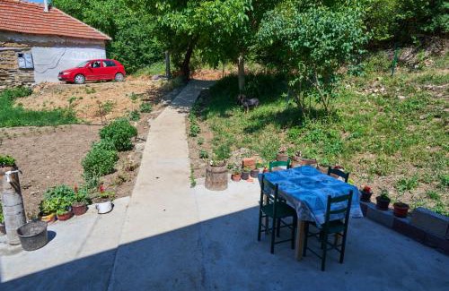 Central Serbia Apartamento | Šumska tajna - Radenkovac