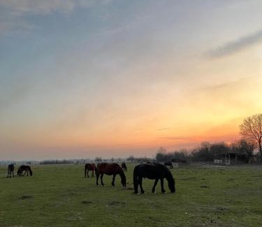 Vojvodina Casa | Šumski Kutak