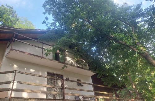 Belgrade Casa | Šumski raj Lipovica