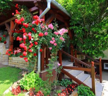 Vojvodina Villa | Šumski raj