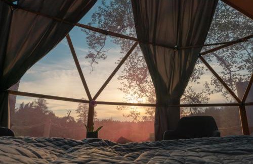 Anyksciai Apartamento | Šventosios Perlas