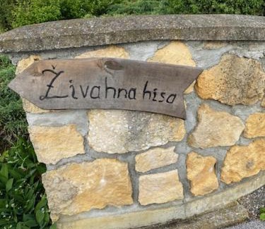 Sovjak Casa | Živahna hiša
