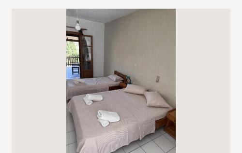Pisses Apartamento | Ευάγγελος Πολίτης