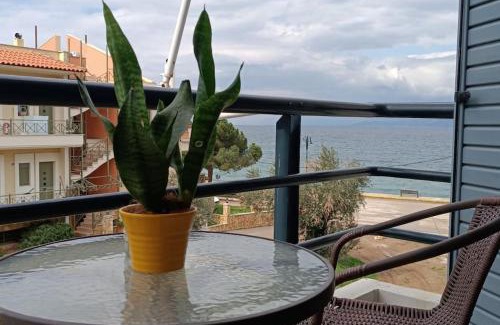 Arkitsa Apartamento | Νηρηίδες