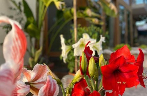Pylos-Nestoras Hotel | Ξενοδοχείο Μελίβοια-Hotel Melivoia