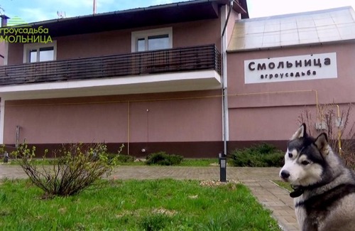 Zabolotsky Casa | Агроусадьба "Смольница"