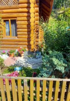 Soymy Casa | Анастасія