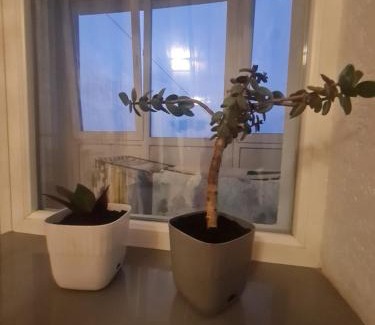 Lutsk Apartamento | Апартаменти в Центрі, неподалік ЦУМа