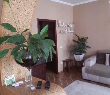Kamenets-Podol'skiy Apartamento | Апартаменти 'Комфорт'