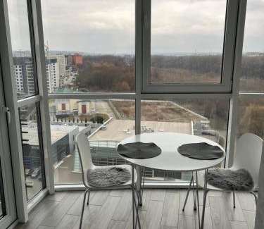 Maliyevtsy Apartamento | Апартаменти Люкс 4