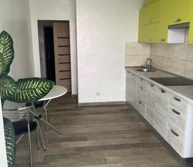 Maliyevtsy Apartamento | Апартаменти Люкс 6