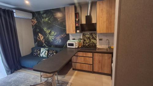 Polyana Apartamento | Апартаменти у Сонячному Закарпатті
