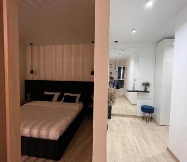 Zalissya Apartamento | Апартаменти центр Чортків