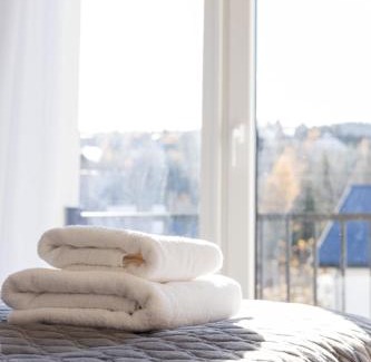 Skhidnytsya Apartamento | Апартаменти Velvet Rooms