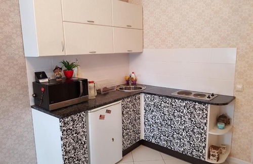 Petrozavodsk Apartamento | Апартаменты "Гранд" в центре города с видом на парк и реку
